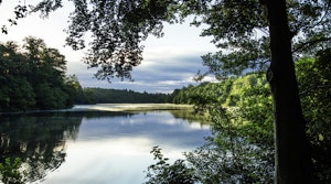 Virginia Water