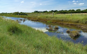 Nutbourne Marshes and Cobnor Peninsula
