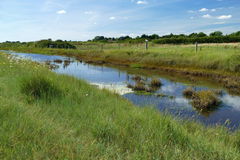Nutbourne Marshes et Cobnor Peninsula