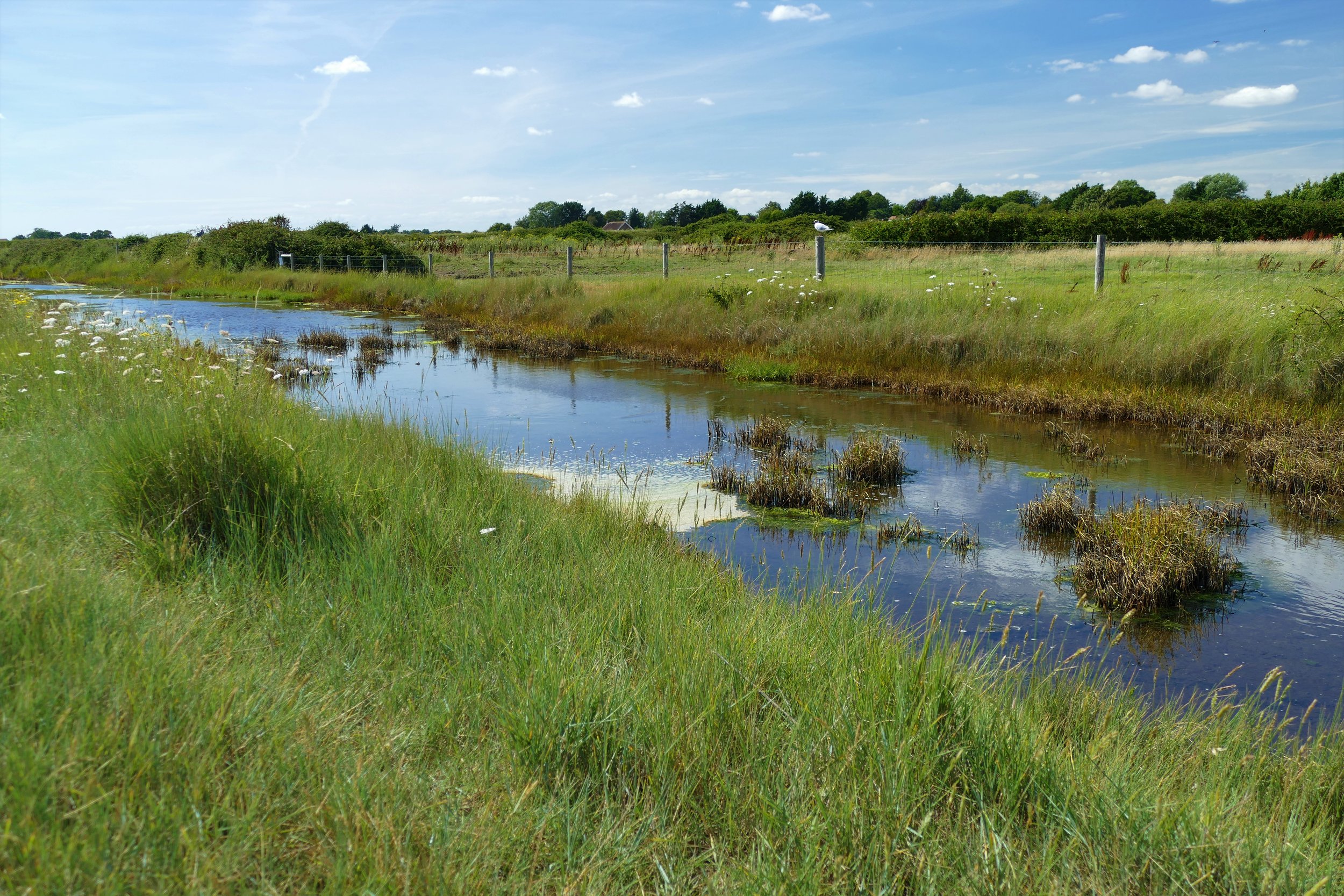 Nutbourne Marshes and Cobnor Peninsula