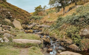 Bronte Waterfalls