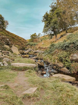 Bronte Waterfalls