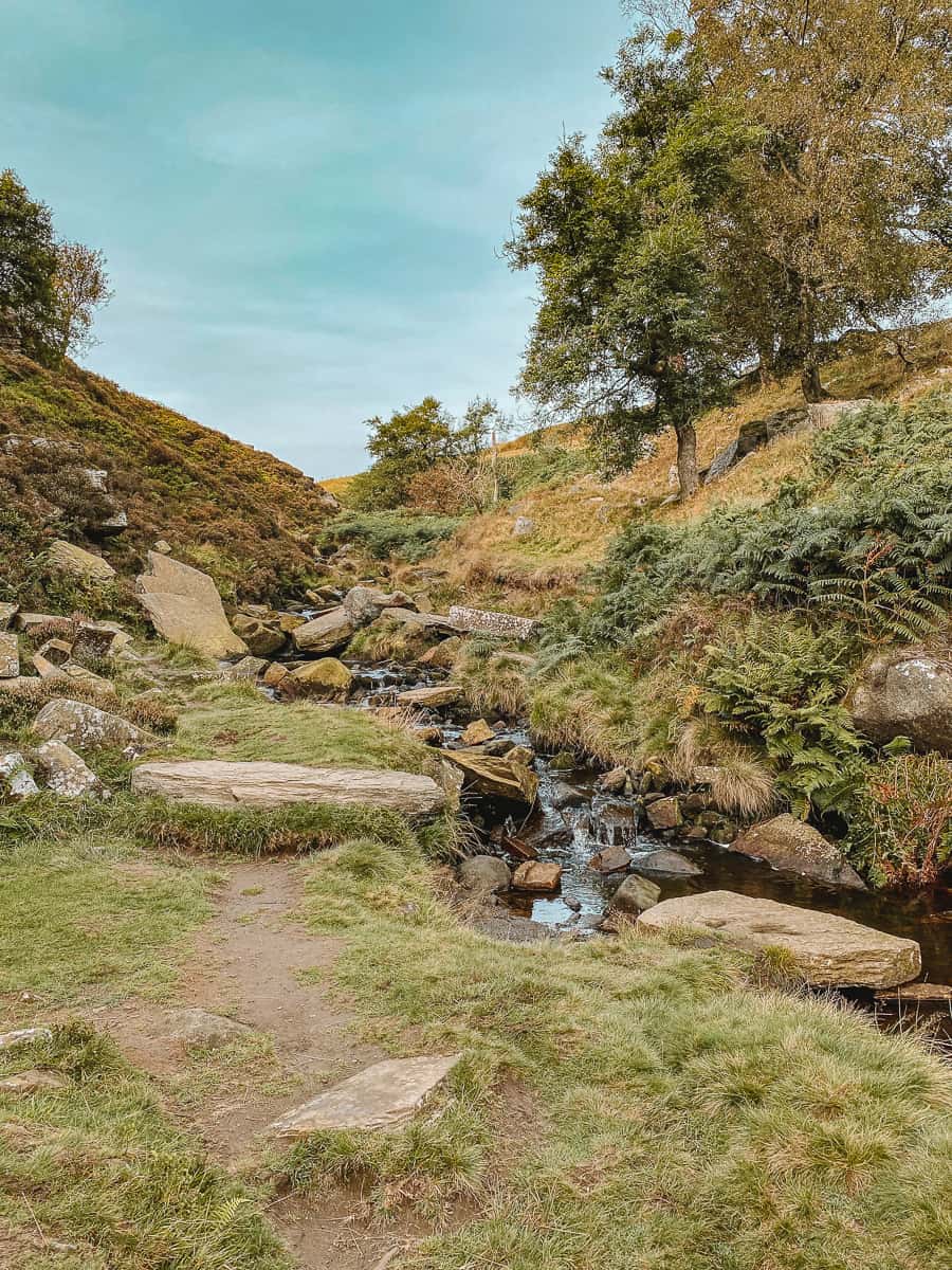 Bronte Waterfalls