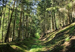 Col de la Loge