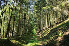 Col de la Loge