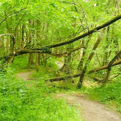Around Valencin