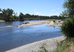 Banks of the Allier