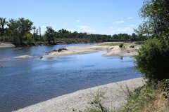 Banks of the Allier