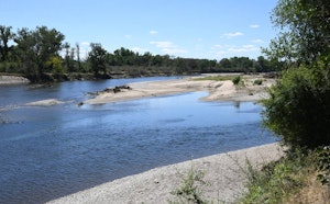 Banks of the Allier