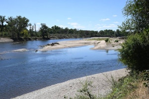 Banks of the Allier