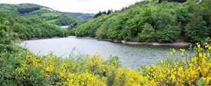 Lakes of the Soulages and La Rive dams 
