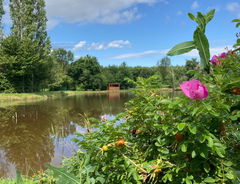 Between La Ronze and La Balme