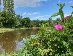 Entre La Ronze et La Balme