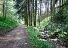 Between La Valla-en-Gier and Bessat
