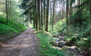Between La Valla-en-Gier and Bessat