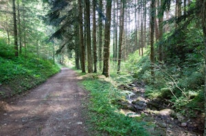 Entre la Valla-en-Gier et Bessat
