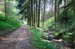 Entre la Valla-en-Gier et Bessat