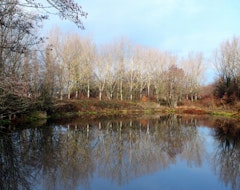 Bois des Burettes