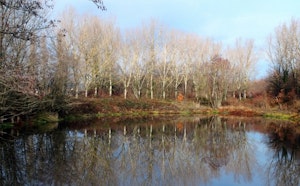 Bois des Burettes