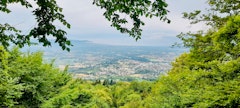 Bois des Chartreux