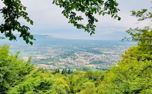 Bois des Chartreux