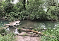 Between Rhône and ponds
