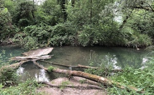 Between Rhône and ponds