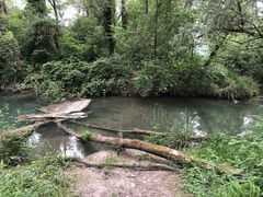 Between Rhône and ponds 