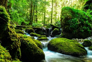 Cascade du Bruyant and Gorges du Furon