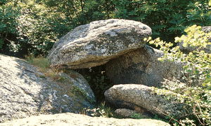 Chemin du dolmen