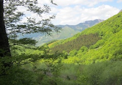 Col du Gliziou