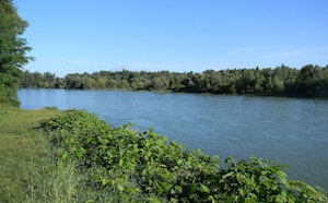 Confluence of the Ain and the Rhône
