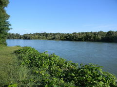 Confluence of the Ain and the Rhône 