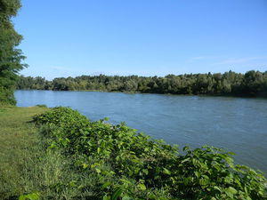 Confluence of the Ain and the Rhône 