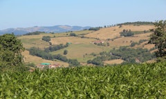 Crêt d'Arjoux from Taylan