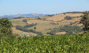 Crêt d'Arjoux depuis Taylan