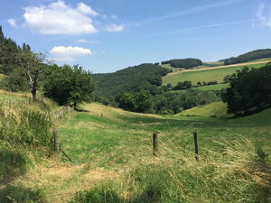 Crêt de la Courtine et aqueduc de la Brévenne