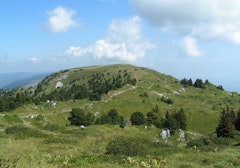 Crêt de la Goutte