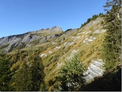 Crête des Bénés