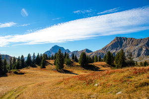 Croix Cartier et de Stata