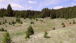 De Mijoux aux Moussières