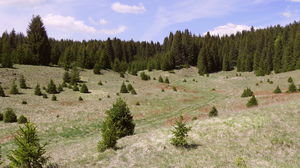 From Mijoux to Les Moussières