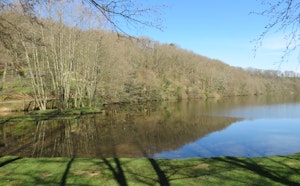 Étang de Cournauron