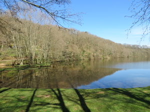 Étang de Cournauron