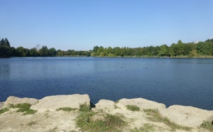 Étang de Fallavier