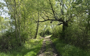Foret de Bégut