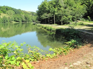 Forêt de Bonnevaux