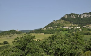 Forêt de Gigors-et-Lozeron