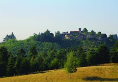 Forêt de Pardières