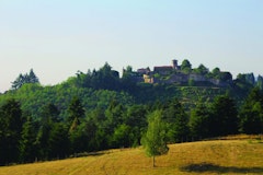 Forêt de Pardières